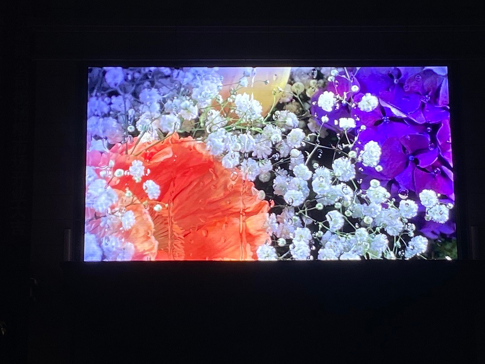 贵定p2