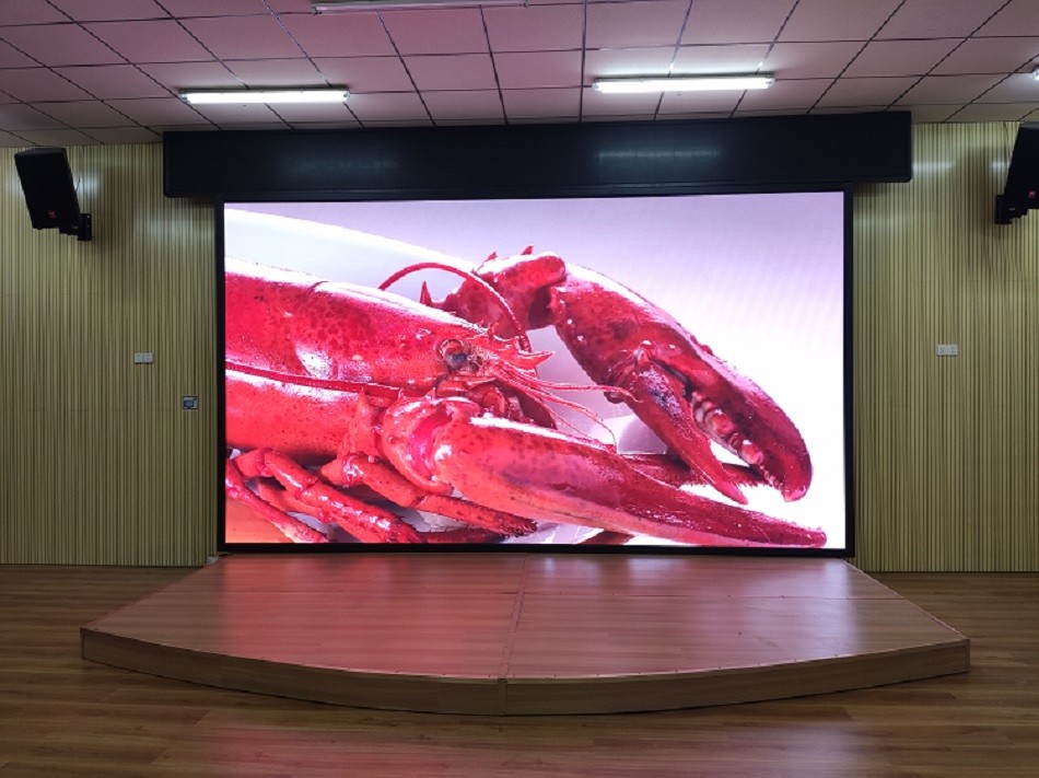 白云某公司p2